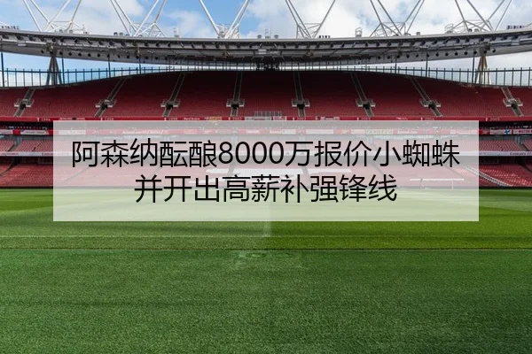 阿森纳酝酿8000万报价小蜘蛛并开出高薪补强锋线